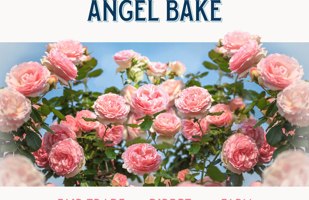 Understanding Alcohol used in Angel Bake Pure Extracts: Safety and Quality Explained