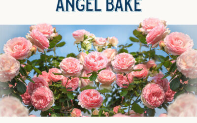 Understanding Alcohol used in Angel Bake Pure Extracts: Safety and Quality Explained