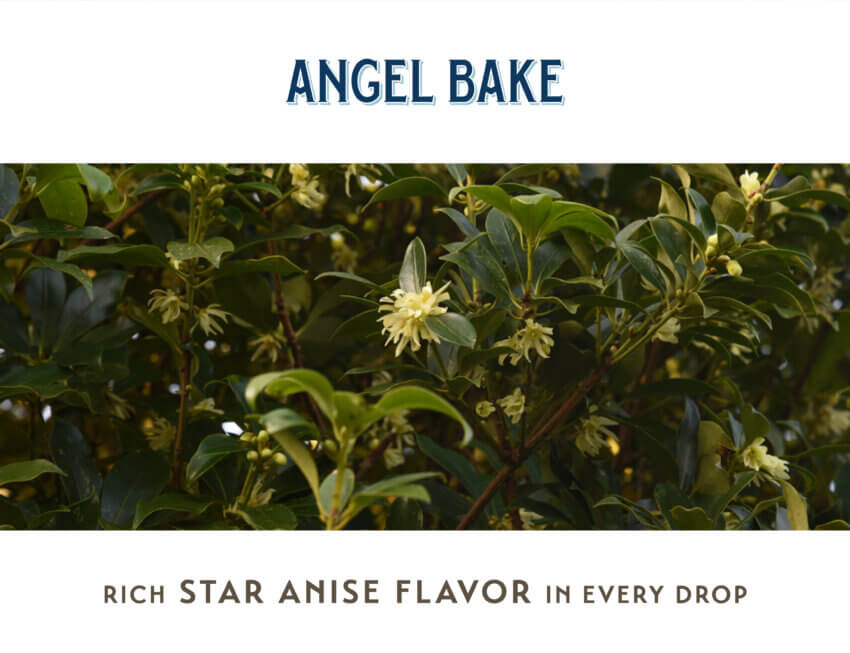 Angel Bake Pure Star Anise Extract | Sugar-Free, Keto-Friendly, Vegan, Gluten-Free - Image 3